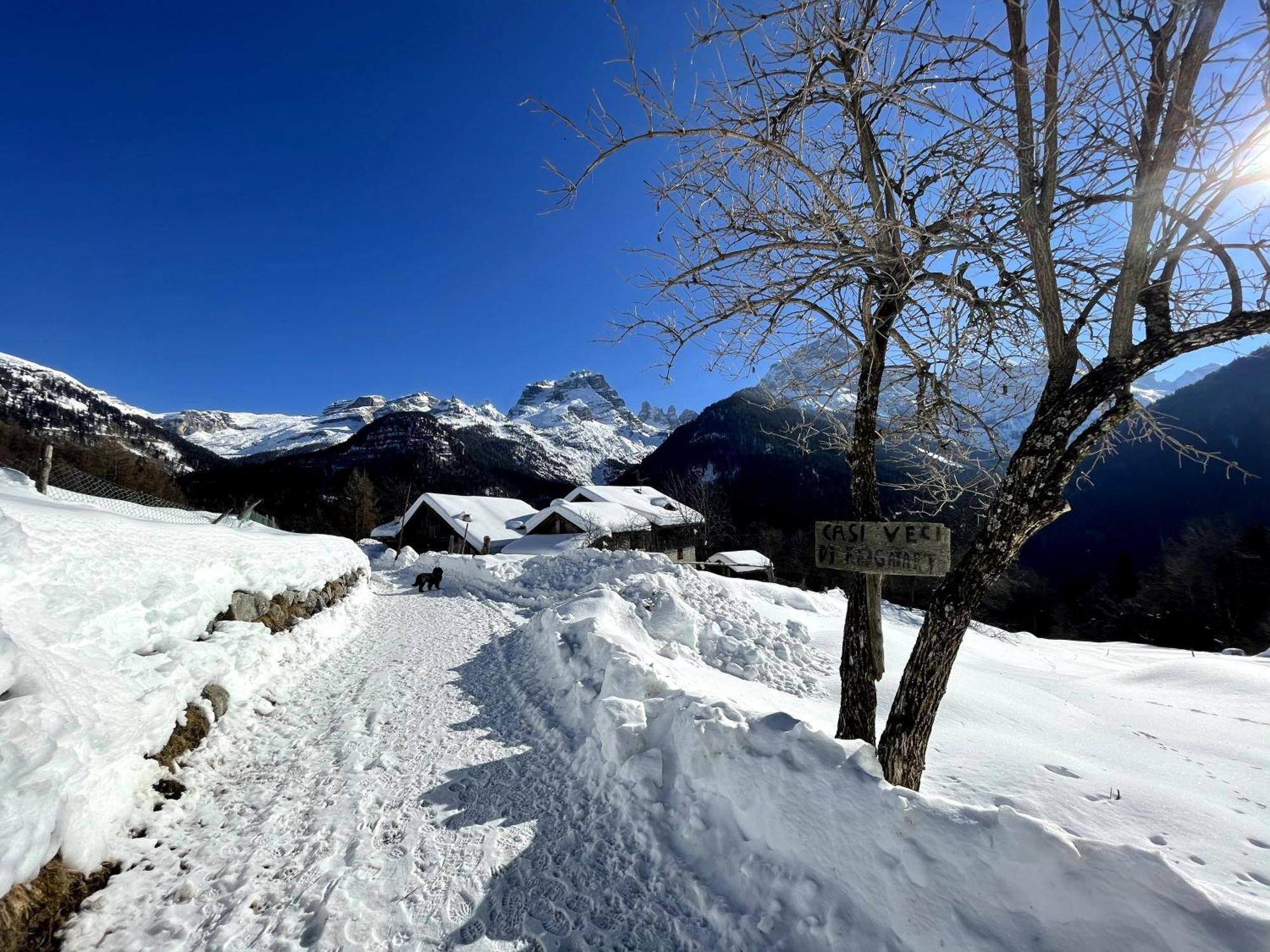 Villa Alpina Campiglio มาดอนนาดีกัมปิโญ ภายนอก รูปภาพ