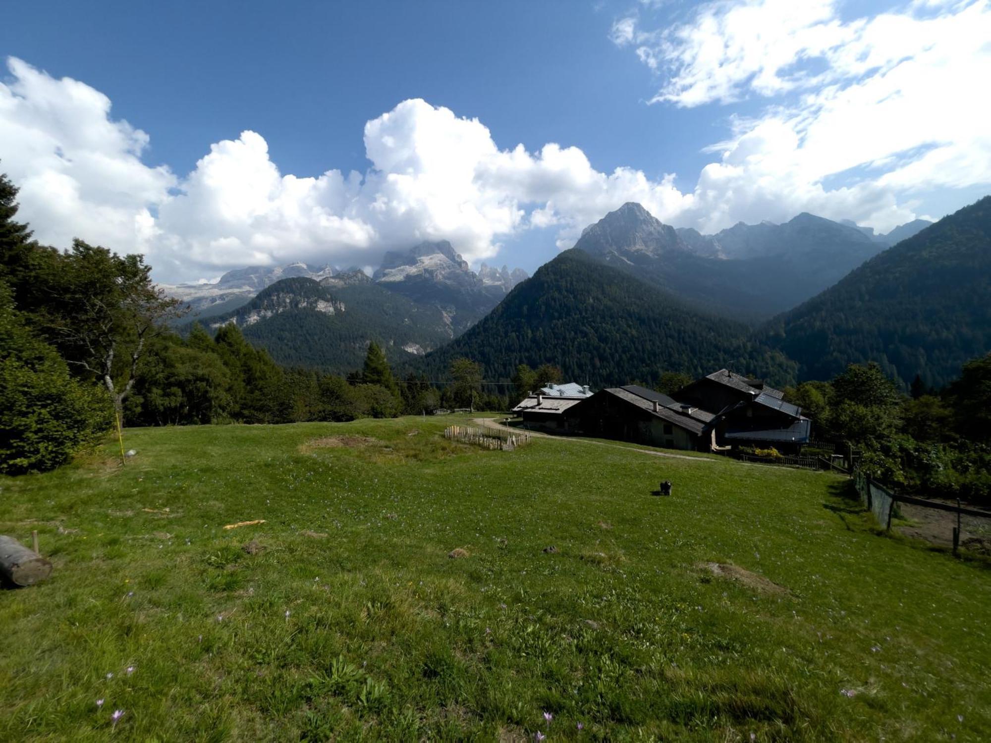 Villa Alpina Campiglio มาดอนนาดีกัมปิโญ ภายนอก รูปภาพ