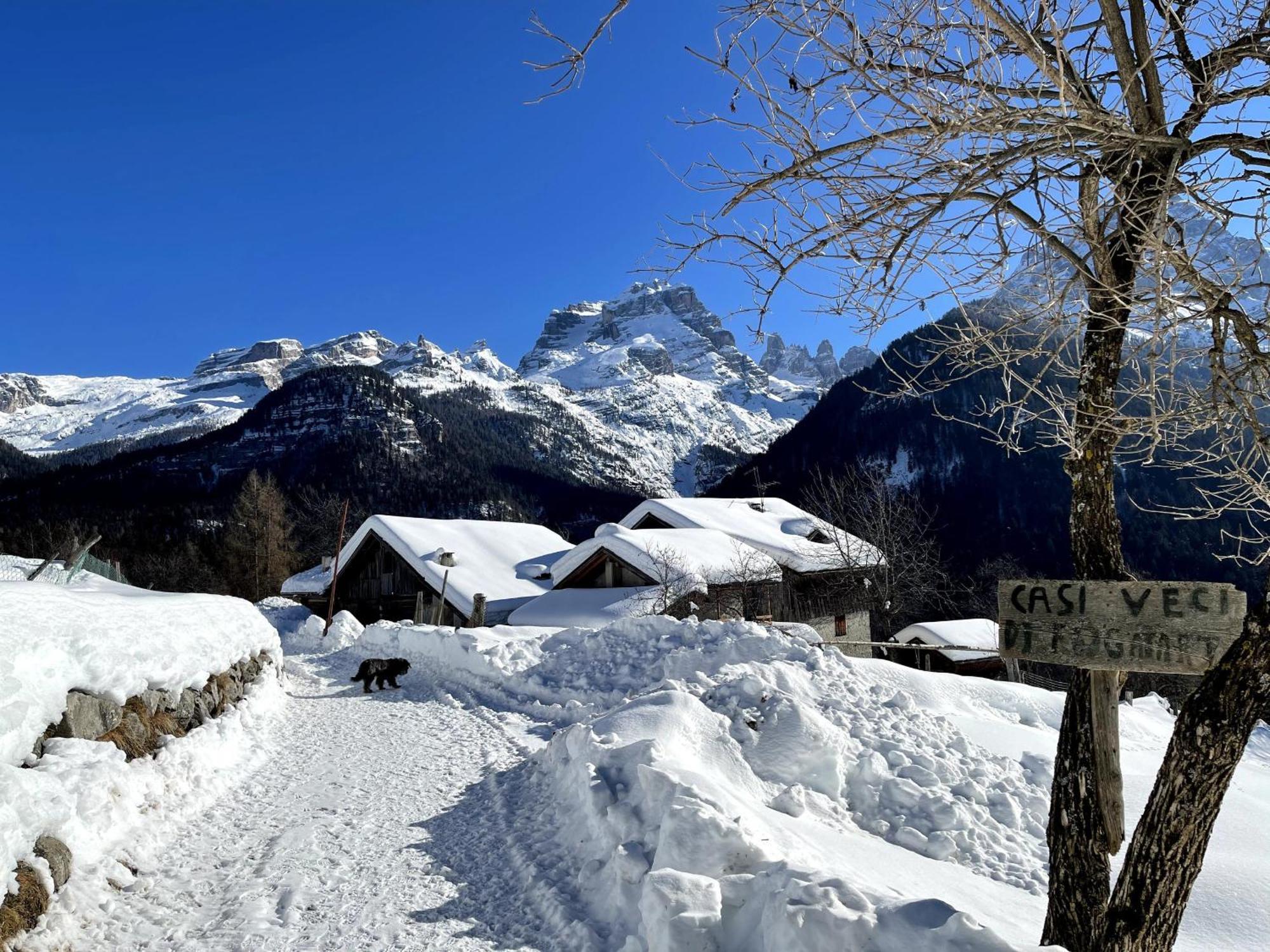 Villa Alpina Campiglio มาดอนนาดีกัมปิโญ ภายนอก รูปภาพ