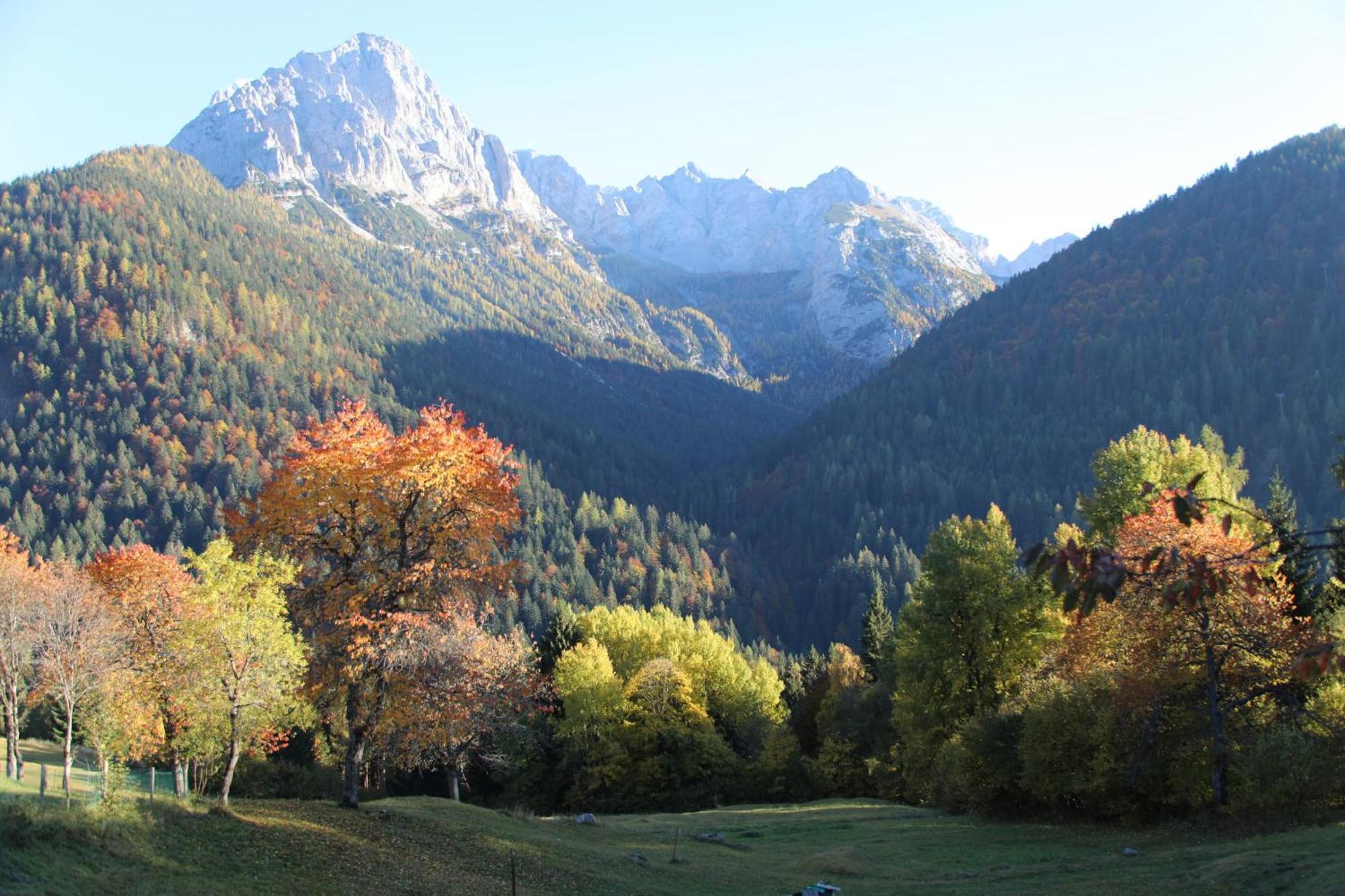 Villa Alpina Campiglio มาดอนนาดีกัมปิโญ ภายนอก รูปภาพ
