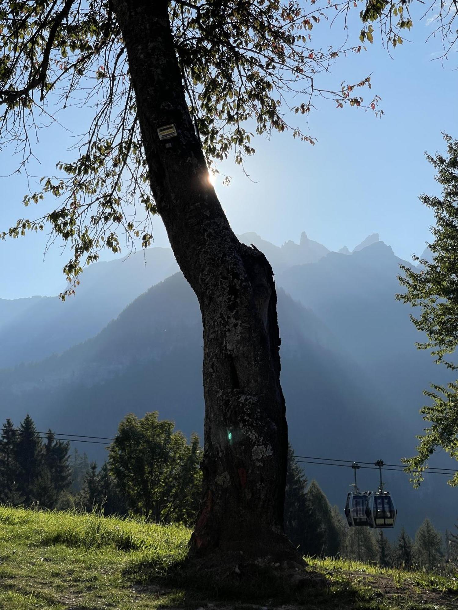 Villa Alpina Campiglio มาดอนนาดีกัมปิโญ ภายนอก รูปภาพ