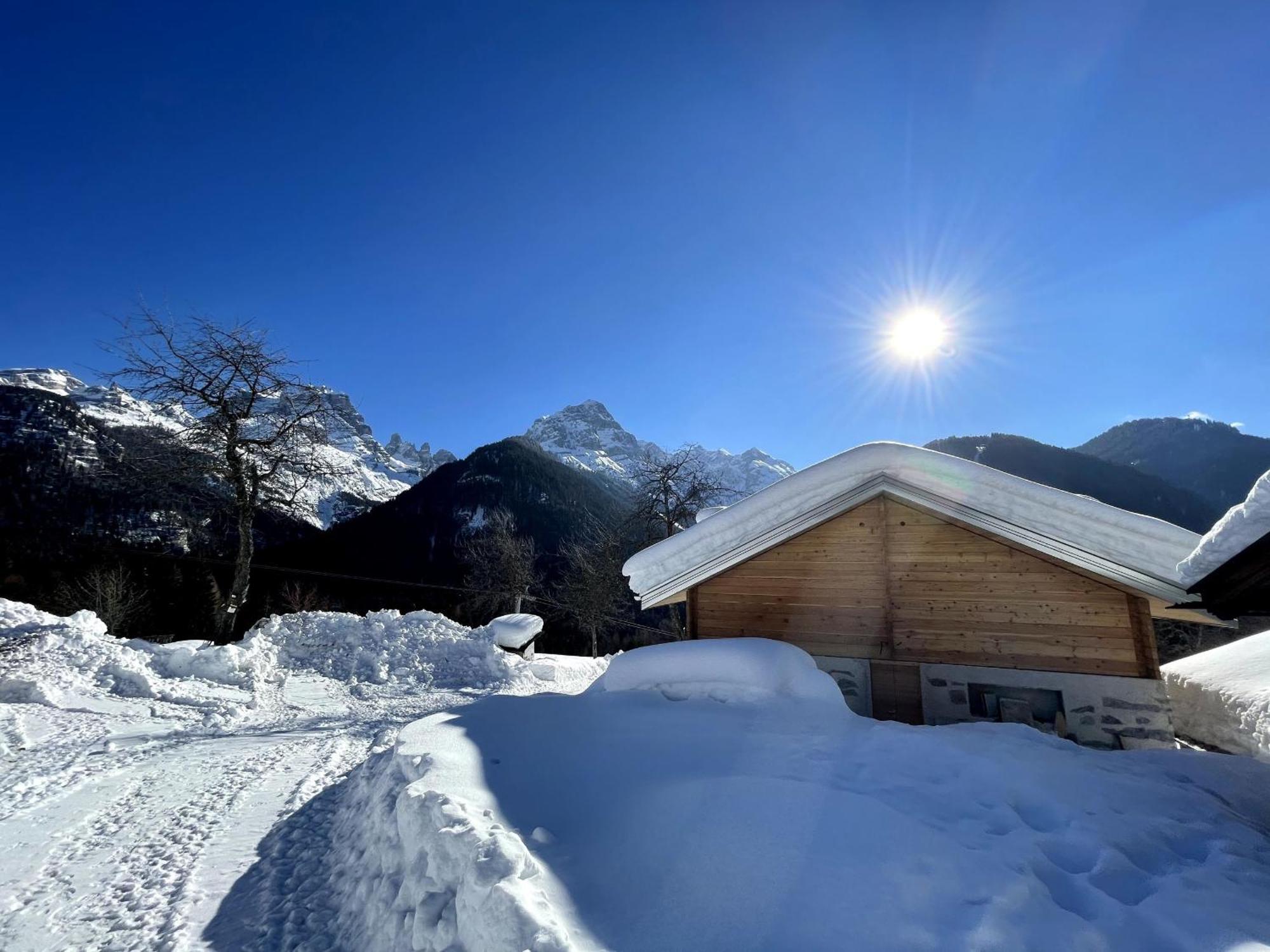 Villa Alpina Campiglio มาดอนนาดีกัมปิโญ ภายนอก รูปภาพ