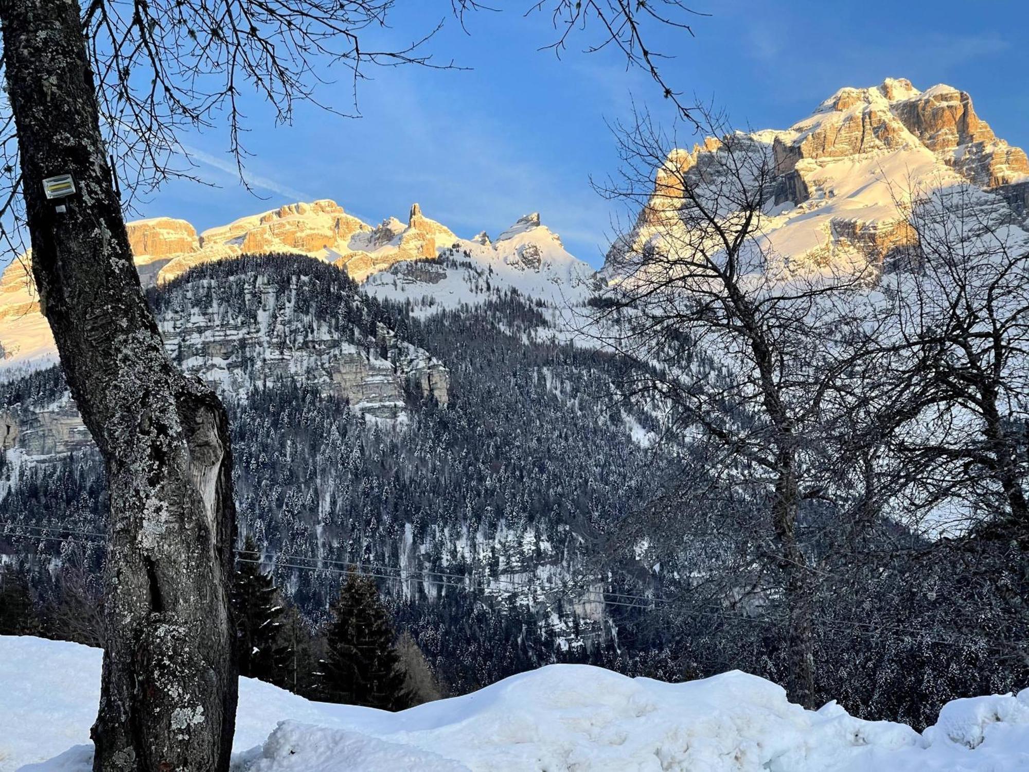 Villa Alpina Campiglio มาดอนนาดีกัมปิโญ ภายนอก รูปภาพ
