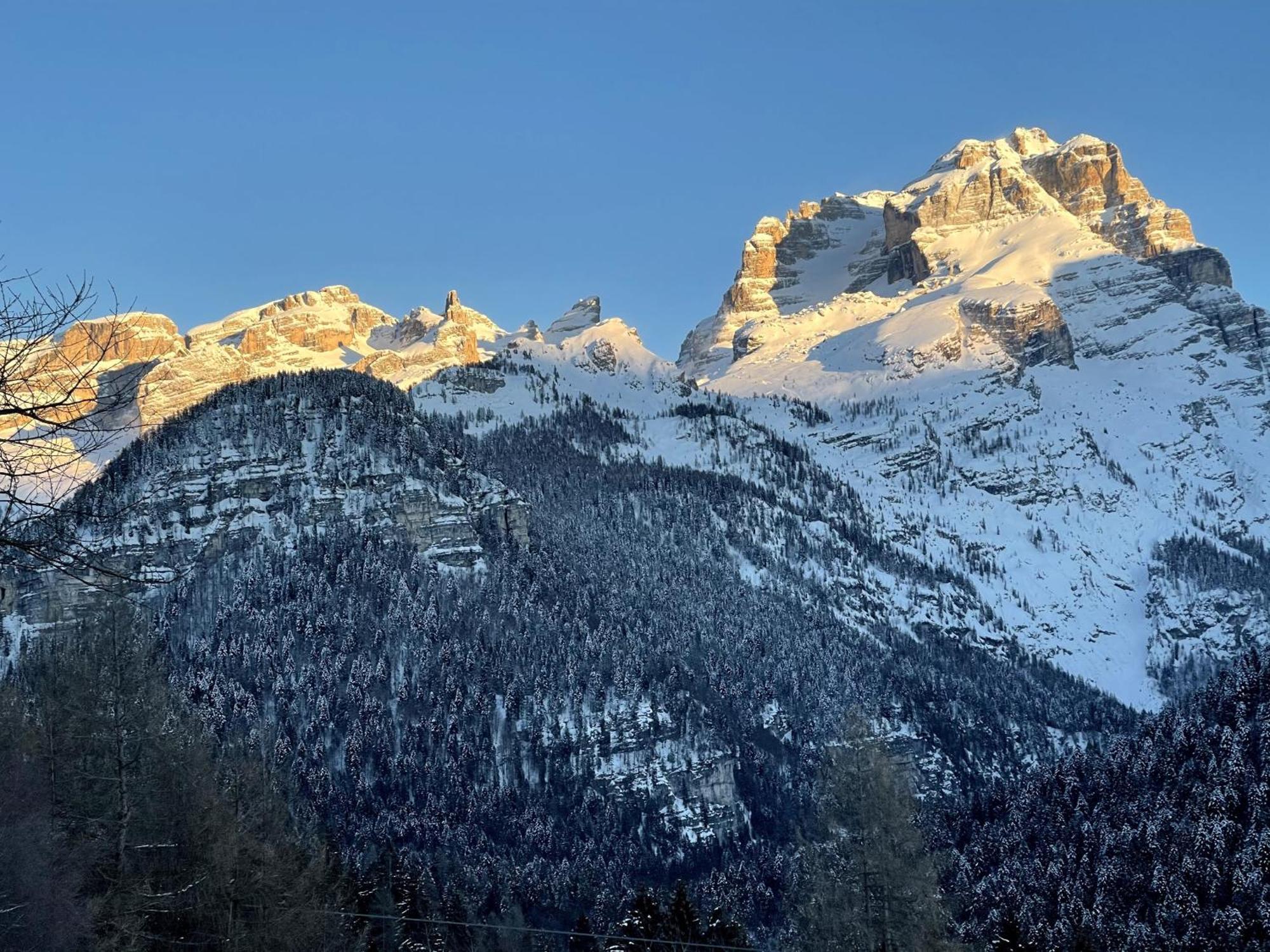 Villa Alpina Campiglio มาดอนนาดีกัมปิโญ ภายนอก รูปภาพ