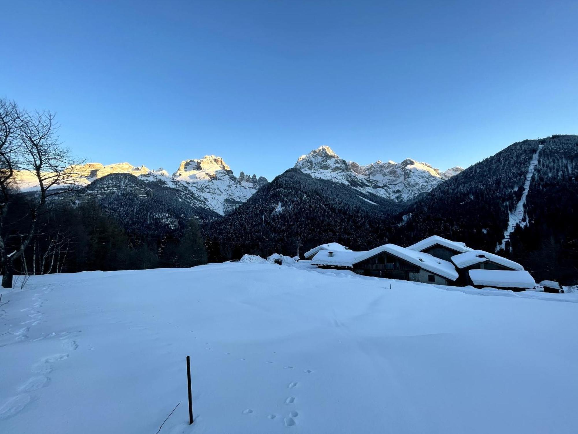Villa Alpina Campiglio มาดอนนาดีกัมปิโญ ภายนอก รูปภาพ