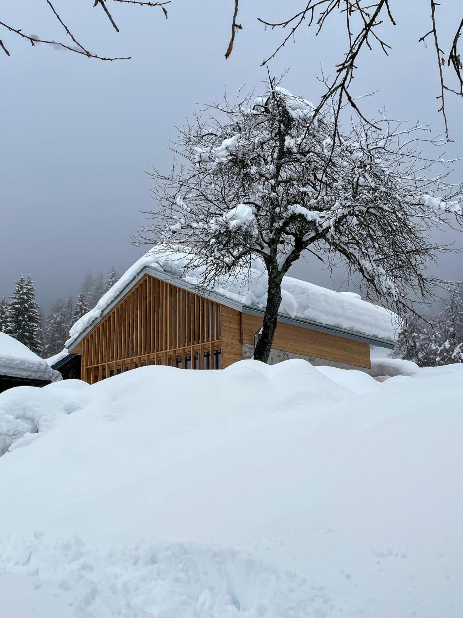 Villa Alpina Campiglio มาดอนนาดีกัมปิโญ ภายนอก รูปภาพ