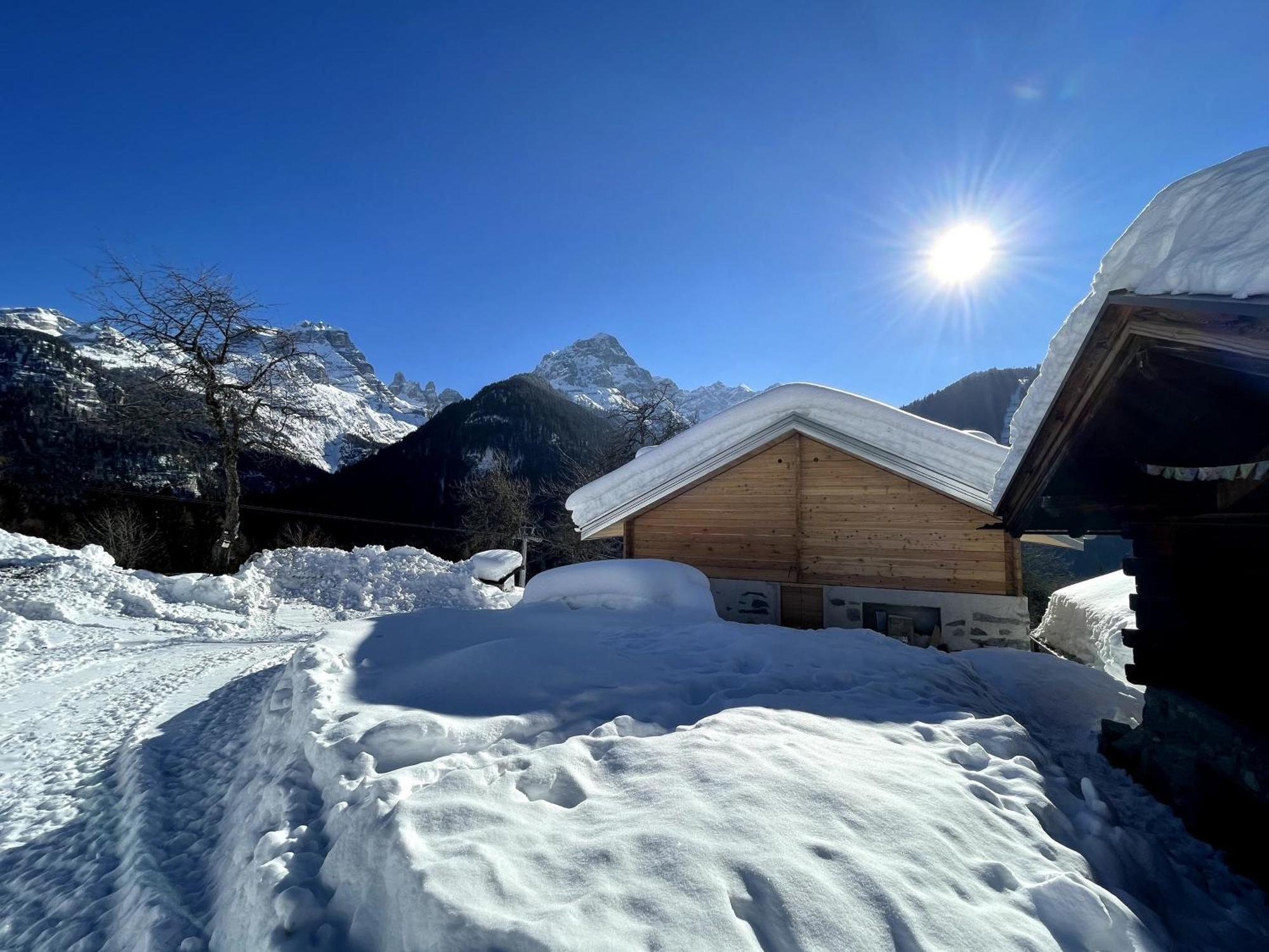 Villa Alpina Campiglio มาดอนนาดีกัมปิโญ ภายนอก รูปภาพ